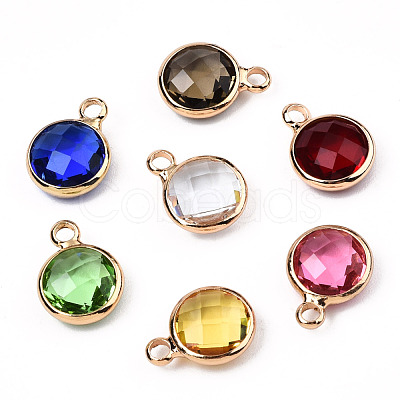 K9 Glass Charms GLAA-N038-22-01LG-1