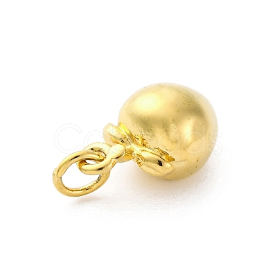 304 Stainless Steel Charms STAS-U049-01A-04G-1