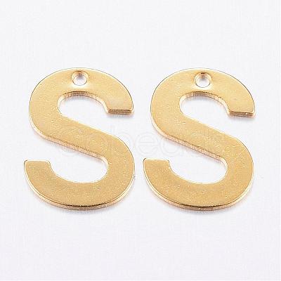 304 Stainless Steel Charms STAS-P141-S-1