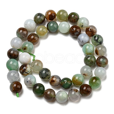 Natural Serpentine Beads Strands G-R494-A03-04-1