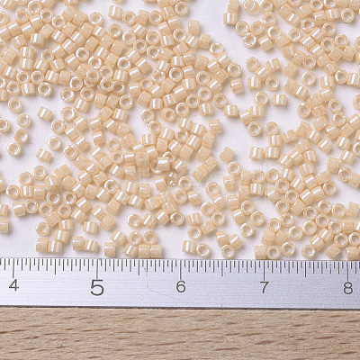 MIYUKI Delica Beads SEED-JP0008-DB0205-1