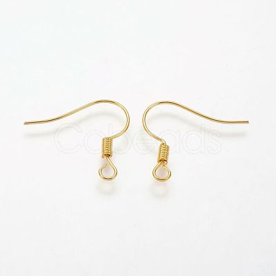 Brass Earring Hooks KK-Q363-G-NF-1