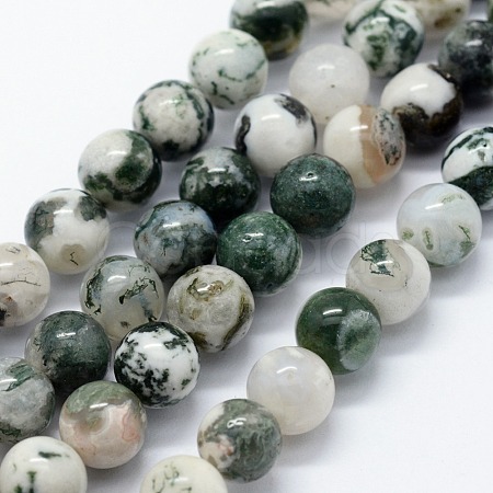 Natural Tree Agate Beads Strands X-G-I199-03-6mm-1