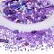 2 Bag Glass & Seed Beads, with Glitter Powder, Imitation Pearl & Transparent & Inside Colours, Moon & Star & Round, Lilac, 2~16x2~11.5mm, Hole: 0.8~1.2mm