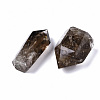 Natural Smoky Quartz Beads G-S359-216-2