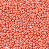 12/0 Glass Seed Beads SEED-S060-A-F419-3