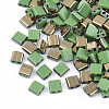 FGB 2-Hole Glass Seed Beads X-SEED-S031-L-047-G-1