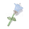 Acrylic Pendants PALLOY-TA00125-2