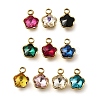 304 Stainless Steel Pendants STAS-Q346-02G-1