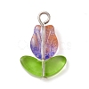 Glass Pendants PALLOY-JF02579-02-3