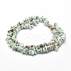 Natural Larimar Beads Strands X-G-P302-03-2