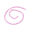 Natural Freshwater Shell Dyed Beads Strands SHEL-M018-12-10-2