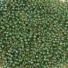TOHO Round Seed Beads X-SEED-TR08-0380-2