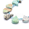 Natural Peruvian Turquoise(Jasper) Beads Strands G-E569-R05-3