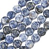 Natural Blue Spot Jasper Beads Strands G-L648-B08-15mm-3