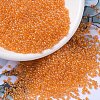 MIYUKI Round Rocailles Beads X-SEED-G007-RR0253-1
