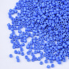Baking Paint Cylinder Seed Beads SEED-Q036-02A-D01-3