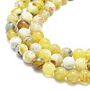 Natural Yellow Opal Beads Strands G-K245-A07-B02-3