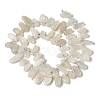 Natural Moonstone Beads Strands G-P604-A27-01-3