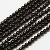 Natural Obsidian Round Bead Strands G-A130-2mm-04-1