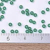 MIYUKI Round Rocailles Beads X-SEED-G007-RR0147F-4