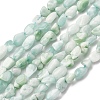 Natural Glass Beads Strands G-K395-A02-01-2