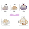 5 Styles Shell Beads SHEL-FH0001-22-2