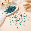 Picasso Baking Paint Glass Seed Beads SEED-TA0001-62F-4