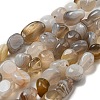 Natural Botswana Agate Beads Strands G-D081-A10-01-1