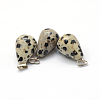 Teardrop Natural Dalmatian Jasper Pendants G-Q435-16-2