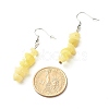 Natural & Synthetic Mixed Stone Chip Beads Dangle Earrings EJEW-JE04649-5