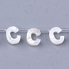 Natural Sea Shell Beads SHEL-T012-60C-1