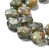 Natural Rhyolite Jasper Beads Strands G-NH0004-011-4