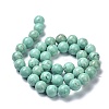 Natural Howlite Beads Strands G-C180-17C-2