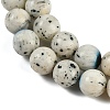 Natural Blue Ice Glacierite Stone Beads Strands G-H062-A04-04-4
