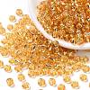 6/0 Transparent Glass Round Seed Beads SEED-J010-F6-22B-1