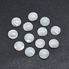 Shell Cabochons SSHEL-P015-61-6mm-1