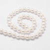 Rainbow Plated Shell Pearl Bead Strands X-BSHE-L025-02-6mm-2