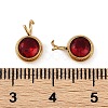 Ion Plating(IP) 304 Stainless Steel Micro Pave Cubic Zirconia Charms STAS-Z094-02G-09-3