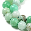 Natural Chrysoprase Beads Strands G-P503-6MM-03-5
