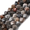 Natural Fossil Coral Beads Strands G-Z119-A26-03-3