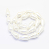 Shell Pearl Beads Strands BSHE-P024-06-2