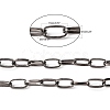 Iron Paperclip Chains X-CH-R025-13x6mm-B-5