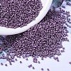 MIYUKI Delica Beads X-SEED-J020-DB1173-1
