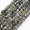 Natural Labradorite Beads Strands G-P322-31-6mm-1