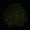 Luminous Glass Seed Beads X1-SEED-A033-07M-5