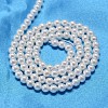 Round Shell Pearl Bead Strands X-BSHE-L011-2.5mm-A013-3