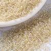 MIYUKI Round Rocailles Beads X-SEED-G009-RR4530-1