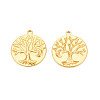 Ion Plating(IP) 201 Stainless Steel Pendants STAS-T063-186G-3