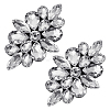 2Pcs Flower Glass Rhinestone Costume Accessories FIND-FG0004-81B-1